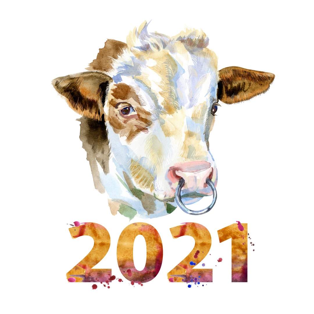 Символ 2021 года – Белый Металлический Бык.