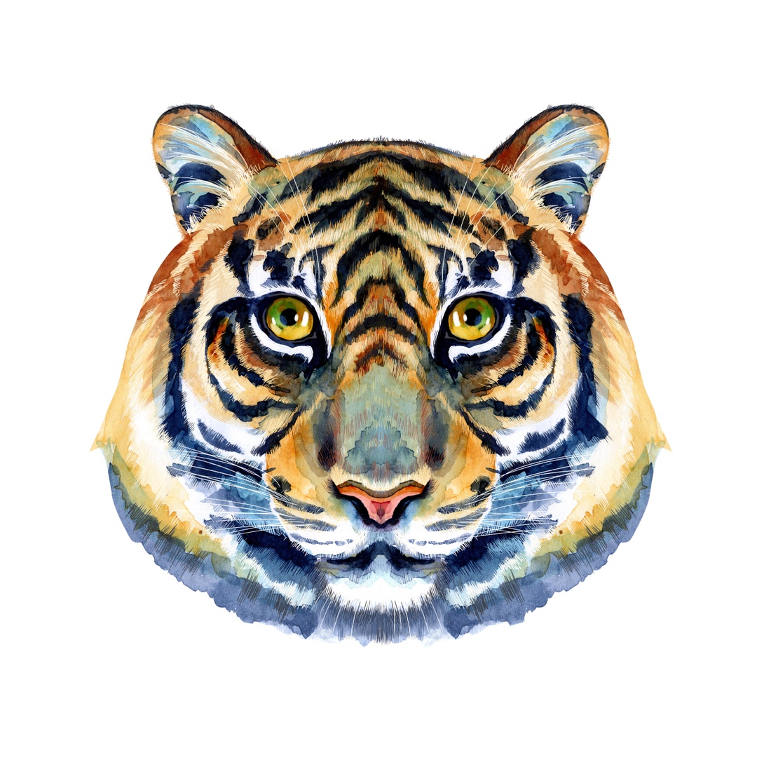 Тигр третье животное (знак) восточного зодиакального круга
