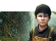 Spirit of the Ancient Forest