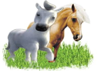 101 любимчик: Пони – маленькие лошадки