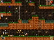 1 скриншот "Храбрые гномы. Назад за сокровищами!"